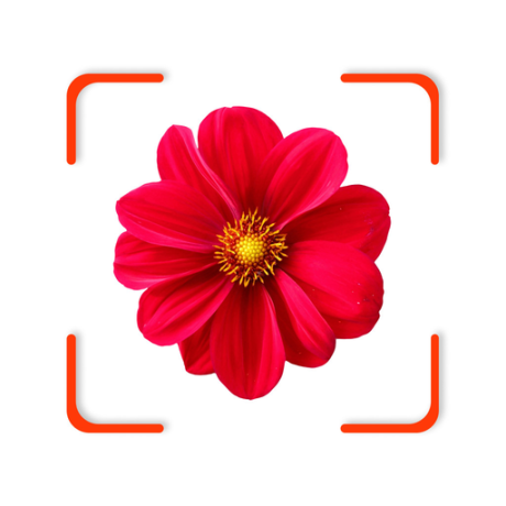 findplant软件