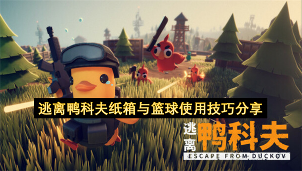 分享逃離鴨科夫過程中紙箱與籃球的使用竅門