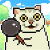 像素猫meme自走棋