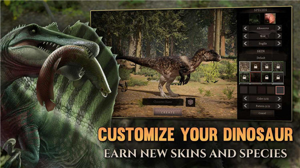 泰坦之路國際服