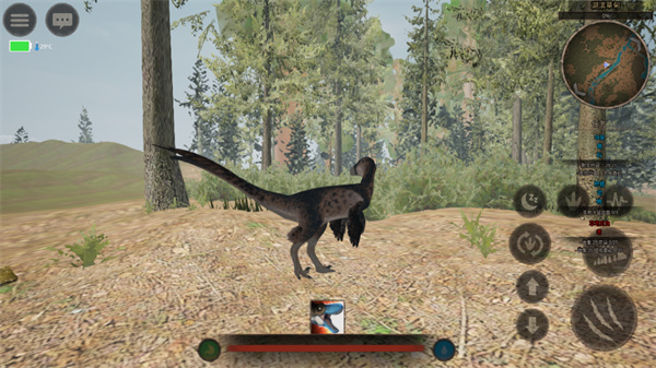 泰坦之路國際服