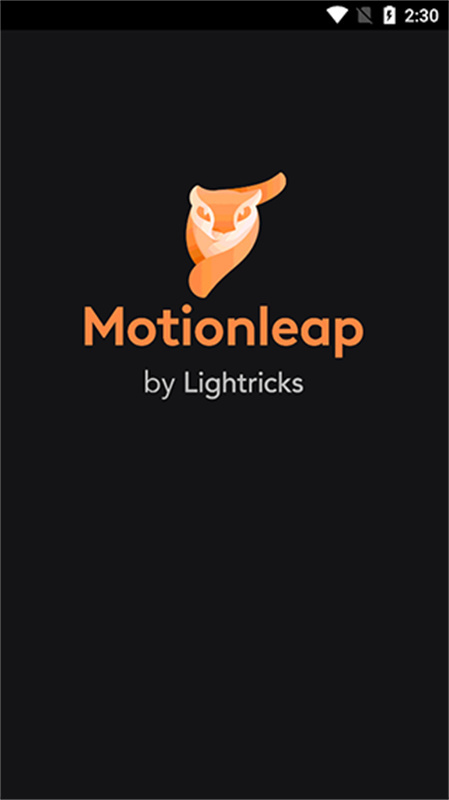 motionleap4