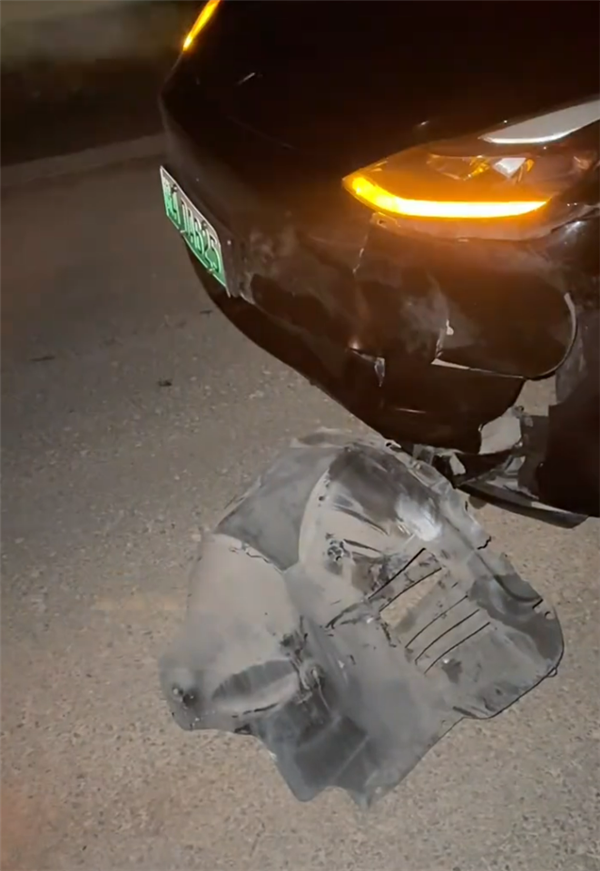 特斯拉车辆撞死闯入国道的野猪：车主被判定承担全部责任行车记录仪视频已公开