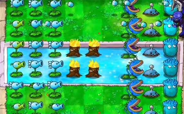 植物大戰僵尸寒冰版