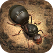 小小蟻國國際服