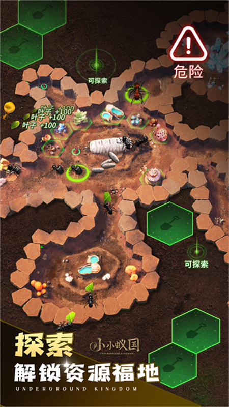 小小蟻國國際服