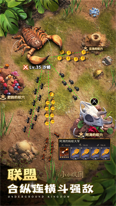 小小蟻國國際服