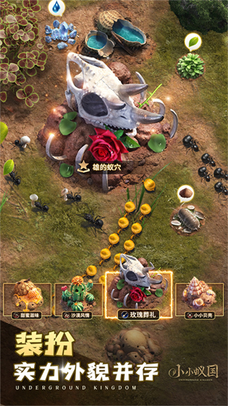 小小蟻國國際服