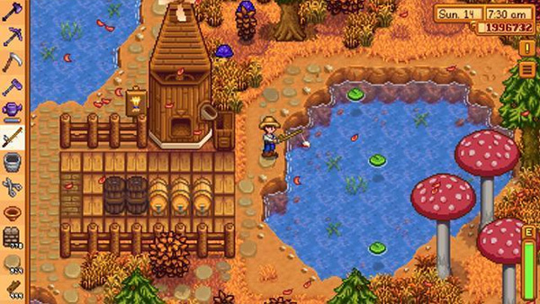 Stardew valley