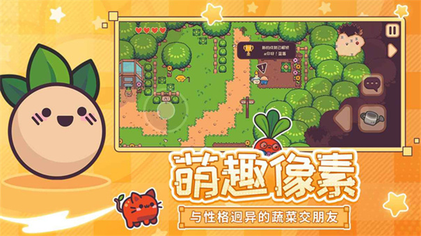 大头菜菜历险记(1)