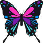 流星蝴蝶剑单机版