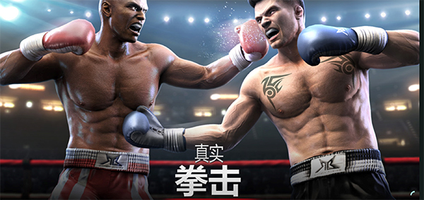 真實(shí)拳擊