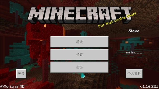 我的世界畸变100天(1)