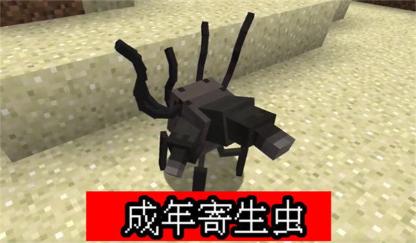 我的世界畸变100天(5)