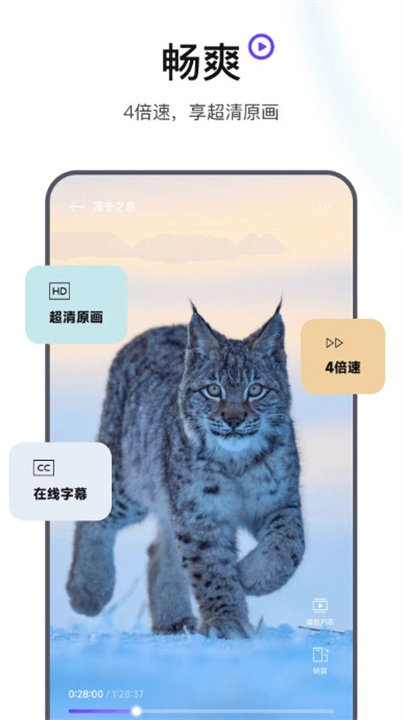 手機(jī)版截圖3