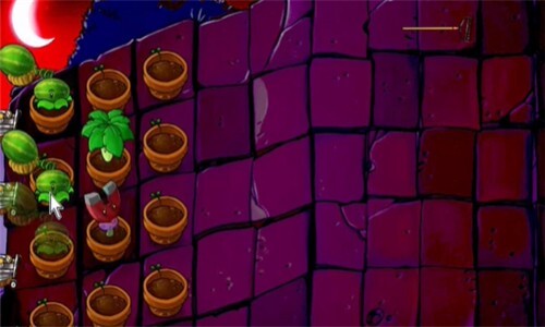 pvz活死人之园(2)