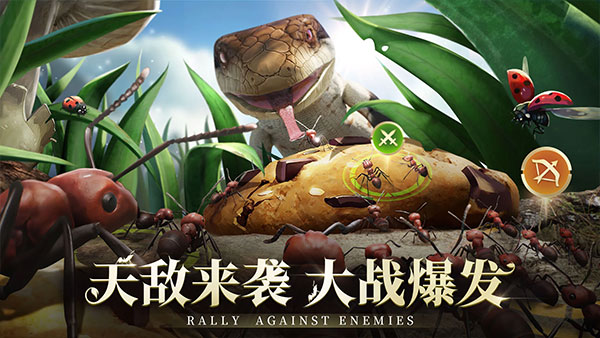 小小蟻國國際服