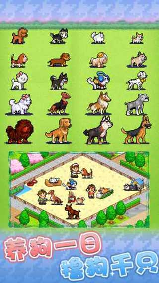 發(fā)現(xiàn)狗狗樂園