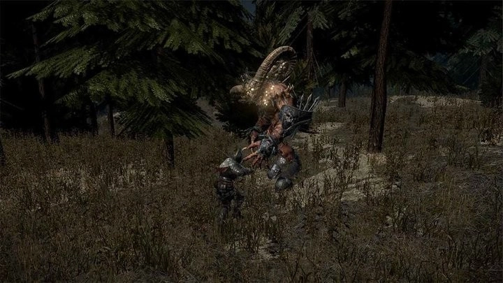 凡爾賽法環(huán)