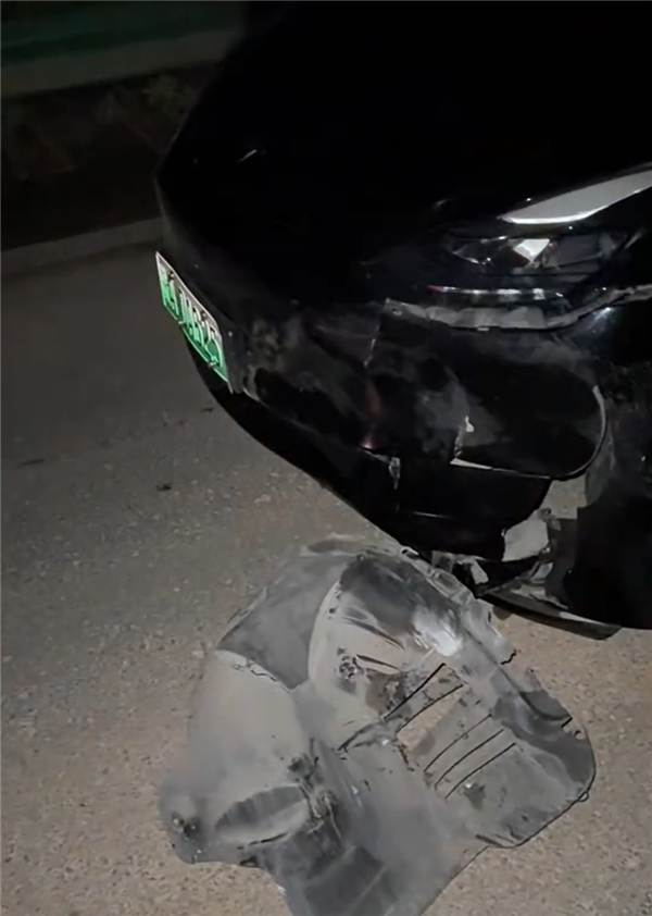 特斯拉车主在国道撞死野猪，被判定承担全部责任！此前曾有车主在高速上撞野猪并获得了赔偿