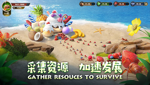 小小蟻國國際服