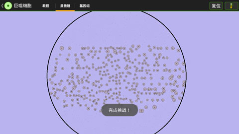 細胞實驗室漢化版