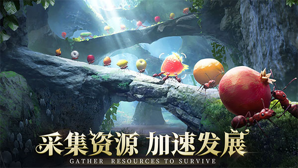 小小蟻國國際服