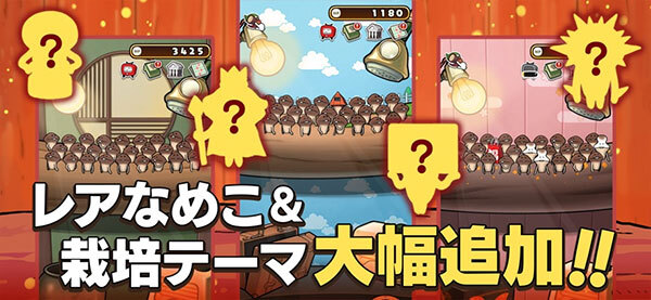 原始菇菇栽培实验室(4)