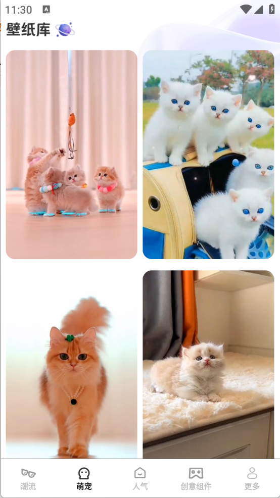 元气多多壁纸图1