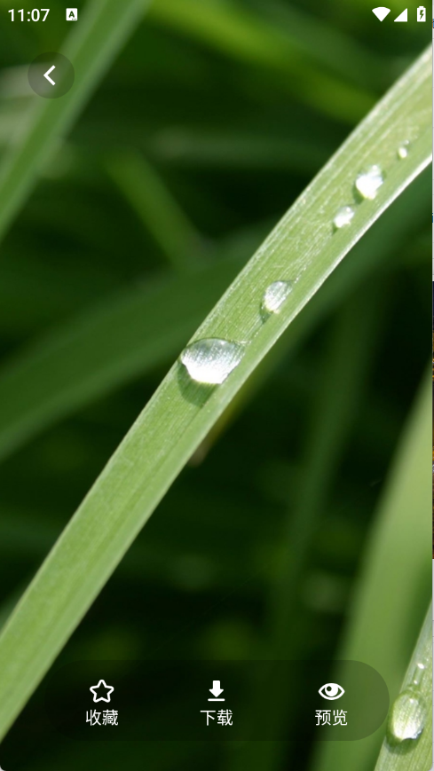 茄子漫画壁纸图5