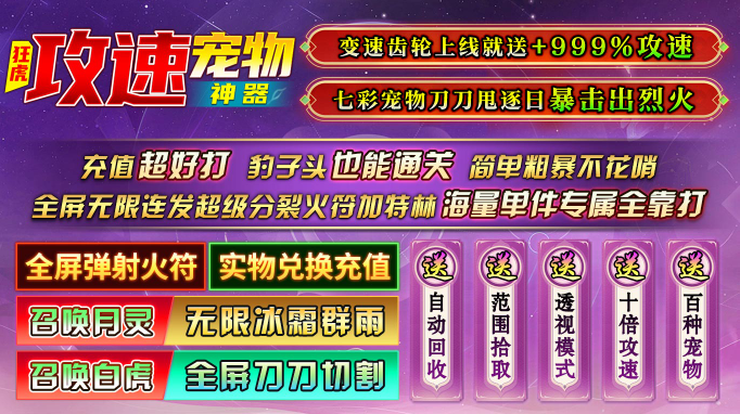 狂虎攻速宠物神器图4