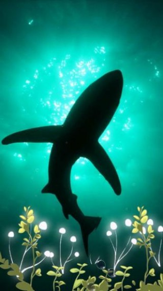 深海綠豆動(dòng)態(tài)壁紙