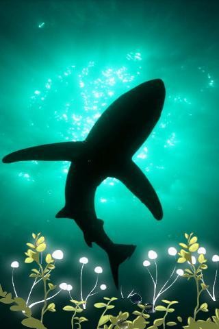 深海綠豆動(dòng)態(tài)壁紙
