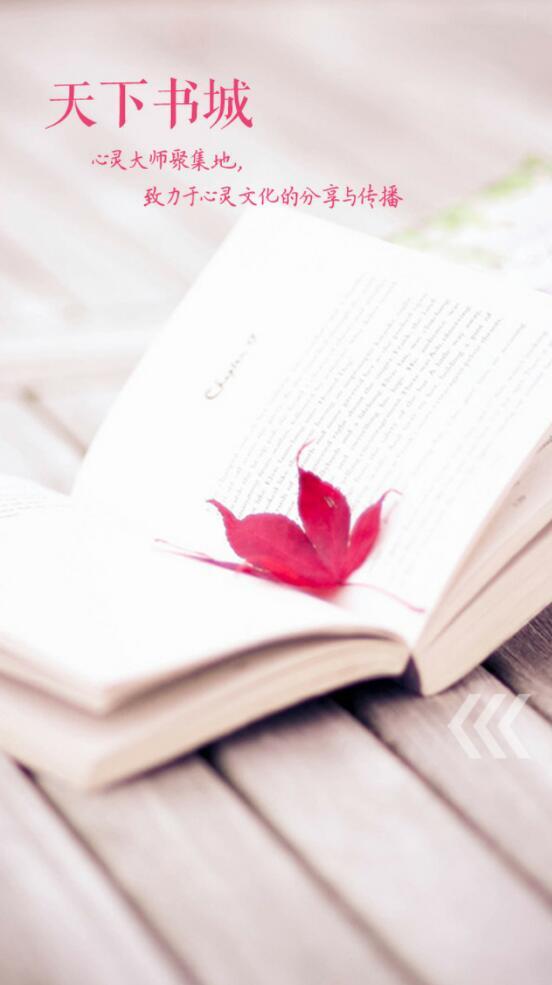 天下书城手机版1
