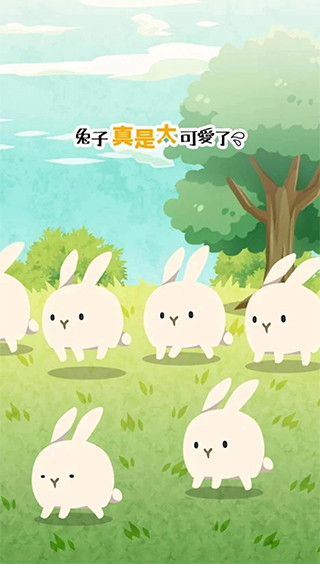 兔子真是太可愛了