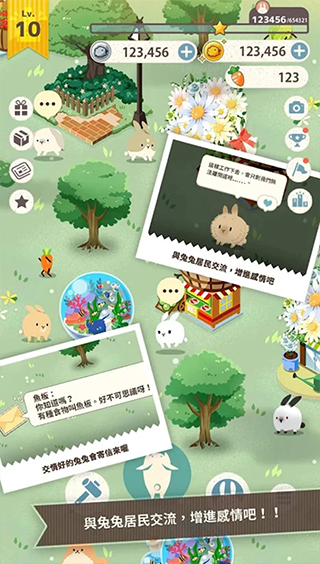 兔子真是太可愛了