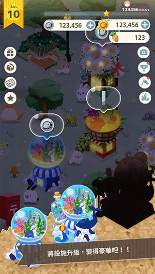 兔子真是太可愛了