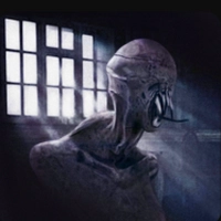 黑暗追捕者最新版