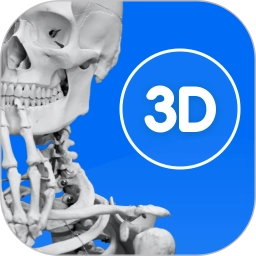 3d人體模型