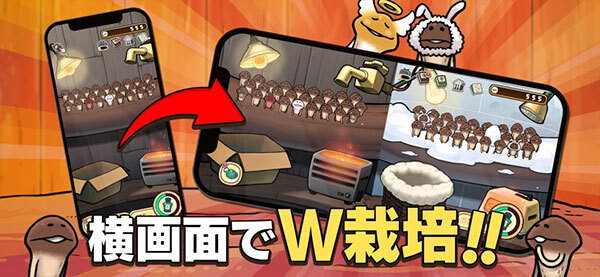 原始菇菇栽培实验室(3)