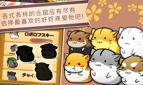 倉鼠的日常國際版