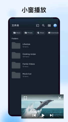 MX播放器专业版