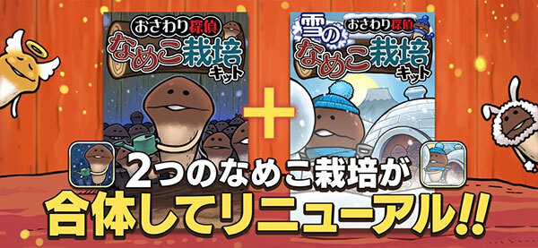 原始菇菇栽培实验室(2)