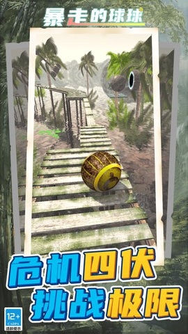 暴走球球無敵闖關