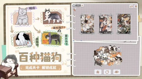 擠在一起的貓貓