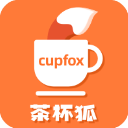 茶杯狐cupfox 