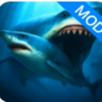 鲨鱼王国游戏