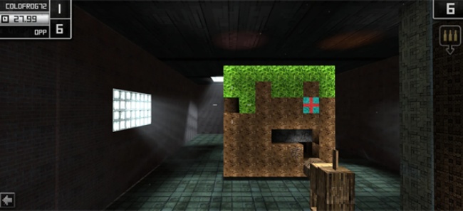 枪的世界中文版