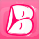 b次元安装免费 V8.1.5