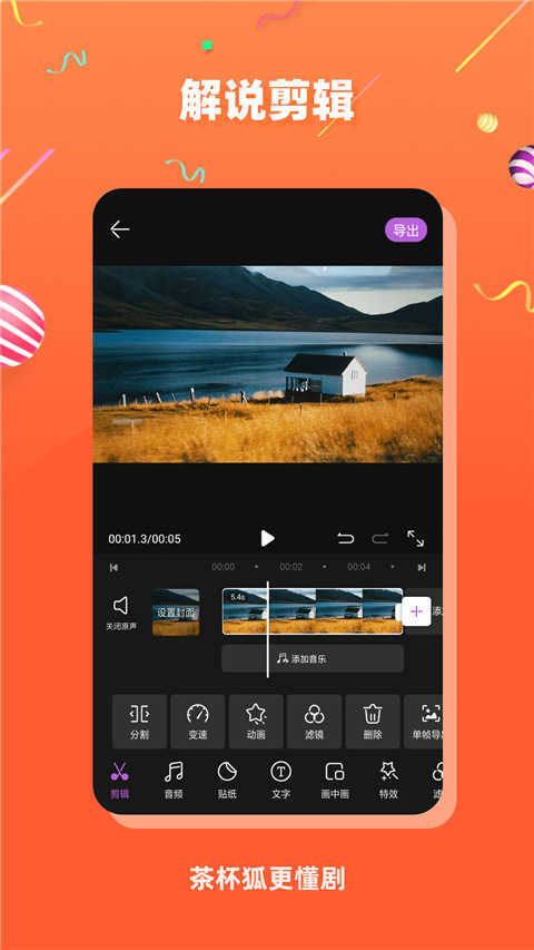 茶杯狐cupfox 图2